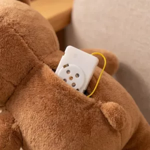 Spraakrecorder voor knuffeldieren